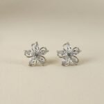 Aretes de Rodio Plateado